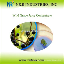 Concentrado de suco de uva selvagem